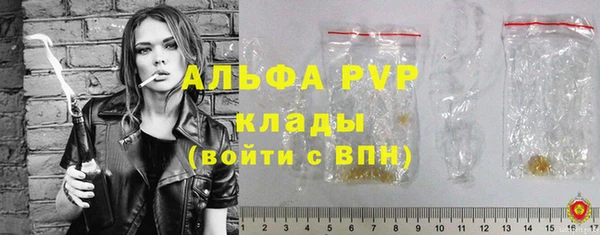 сатива Володарск