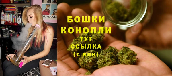 сатива Володарск